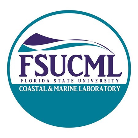 FSUCML Logo Padded