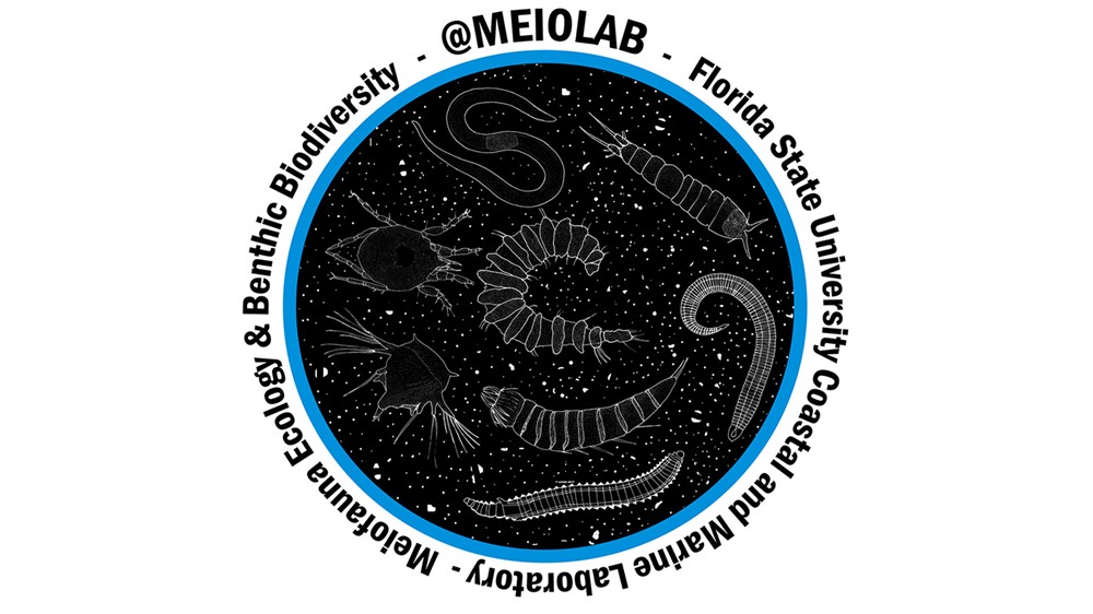 design1-MEiolab for website banner.jpg