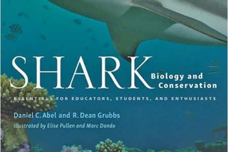 Grubbs Dean Shark Biology And Conservation 3 X 2