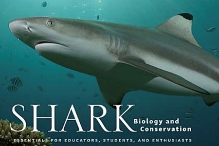Shark Bio And Conserv